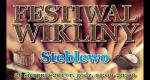 Embedded thumbnail for Festiwal wikliny koło ruin kościoła